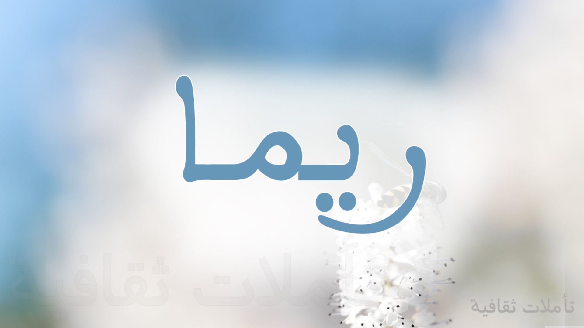 تصميم مناهج اللغة العربية