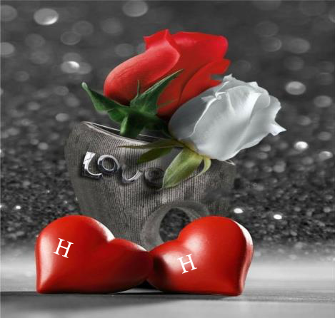 صور حرف H H مع بعض حرف الاتش مع الاتش رمانسية في قلب حرف H And H صقور الإبدآع