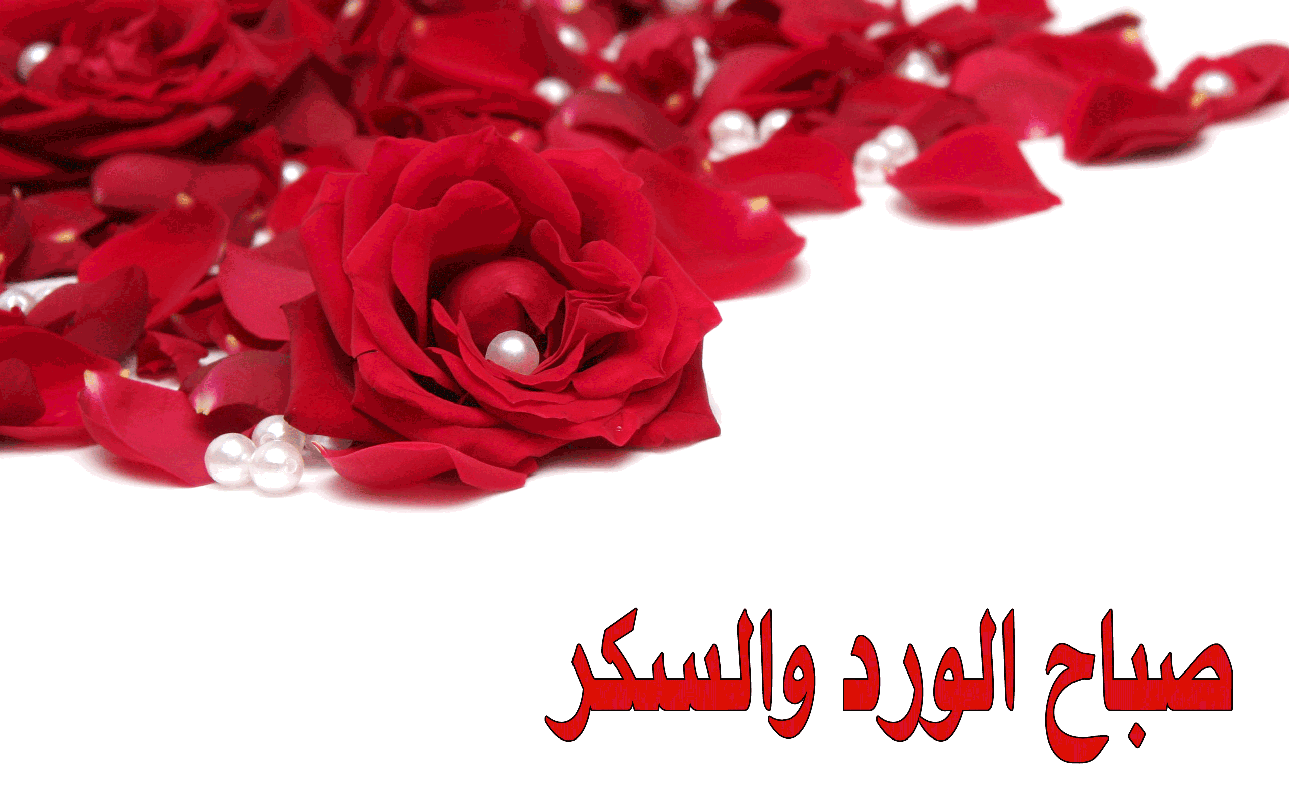 بطاقات صباح الخير اسلامية Gif Bitaqa Blog
